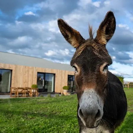 Le Marzelheide 2 Tatil Evi *