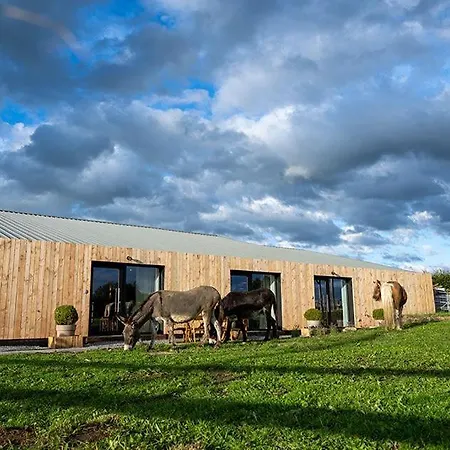 Feriehus Le Marzelheide 2