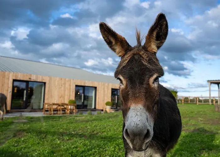 Le Marzelheide 2 Tatil Evi *