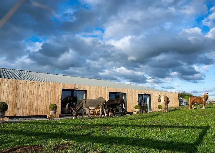 Tatil Evi Le Marzelheide 2